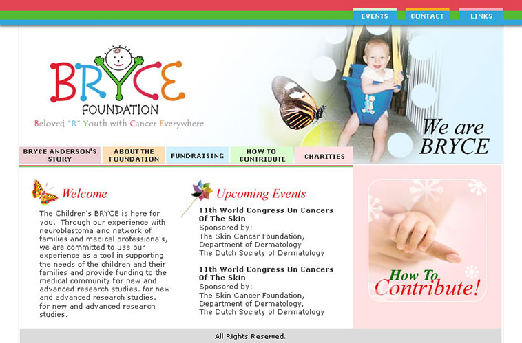 BRYCE Foundation Home Page Design