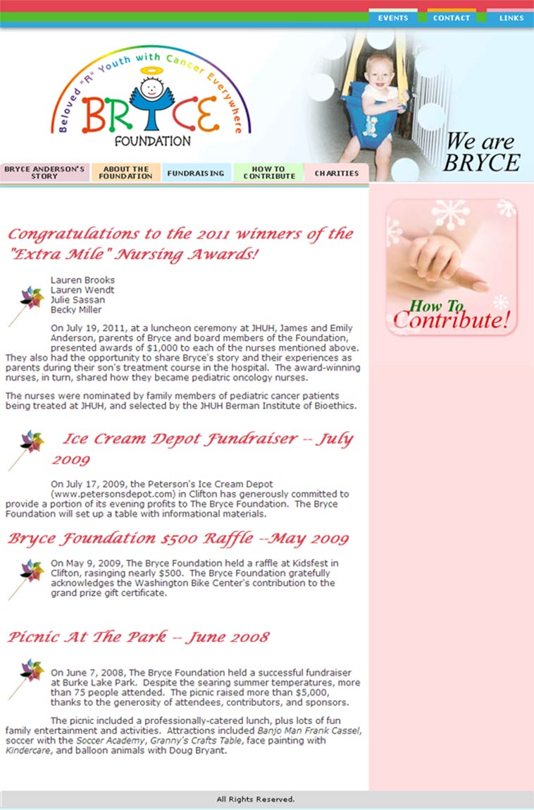 BRYCE Foundation Internal Page Design